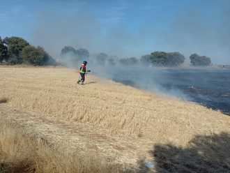 Incendio ya controlado en Villaviciosa de Taju&#241;a, cerca de los campos de Lavanda de Brihuega