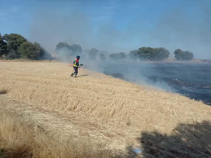 Incendio ya controlado en Villaviciosa de Tajuña, cerca de los campos de Lavanda de Brihuega