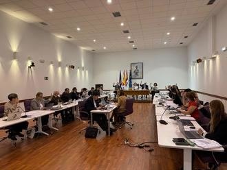 Aprobadas por el Pleno del Ayuntamiento de Guadalajara las nuevas ordenanzas de movilidad y de estacionamiento limitado