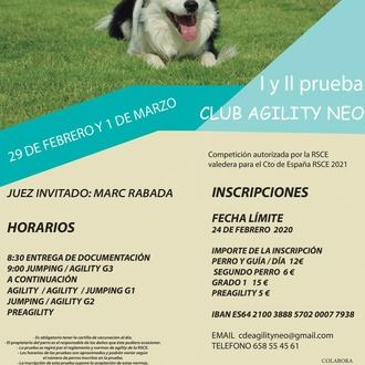 El CDM Valdeluz alberga este fin de semana una prueba de agility valedera para el Campeonato de España RSCE
