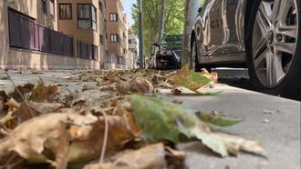 Podemos recuerda al Ayuntamiento de Yebes que es el momento ideal para tratar los más de 2000 árboles enfermos del municipio