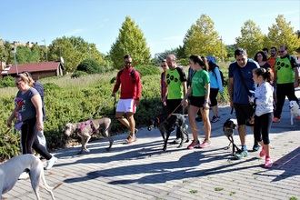La nueva Ordenanza de tenencia y protección de animales de Yebes implica a los propietarios en su cumplimiento