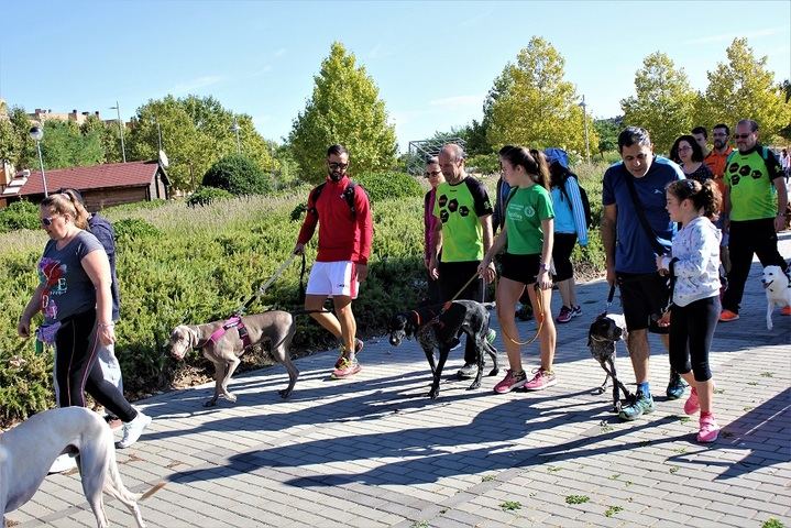 La nueva Ordenanza de tenencia y protección de animales de Yebes implica a los propietarios en su cumplimiento
