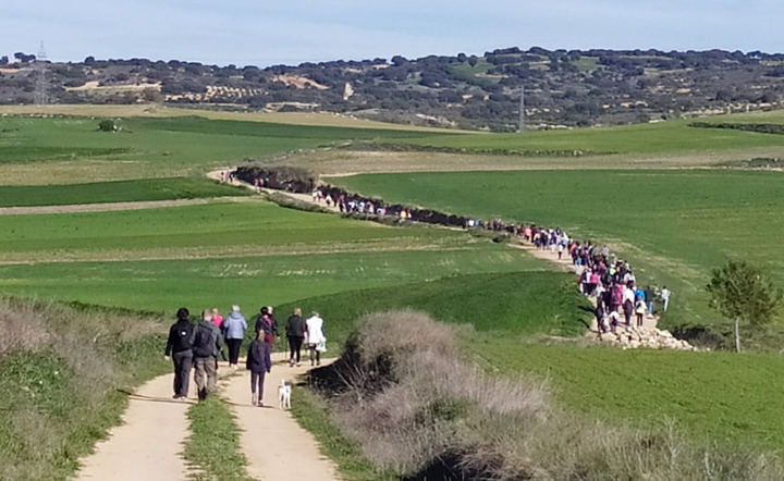 Alrededor de 300 personas disfrutan de la ruta senderista Del Telégrafo al Pinarejo de Yebra