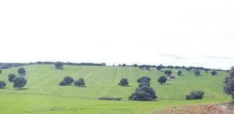 El Ayuntamiento de Yunquera de Henares solicitar personarse como interesado ante un posible recurso a la denegación de licencia para el macrovertedero