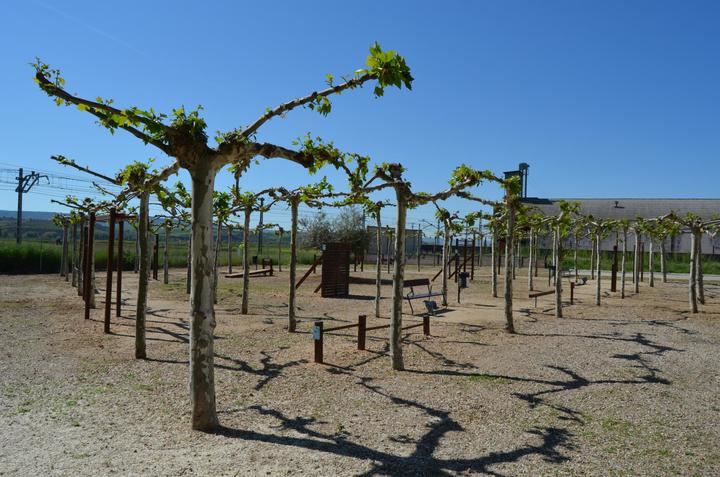 El Ayuntamiento de Yunquera de Henares revitaliza el Parque de San Cleto