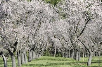 La primavera meteorológica comenzará con una dana tras un invierno con lluvias de récord