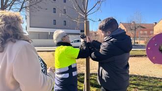 Alovera vuelve a convocar la iniciativa un árbol un niñ@ para marzo con renovación de identificaciones