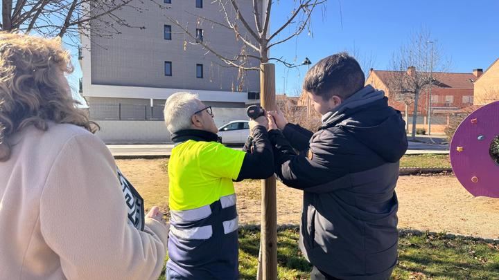 Alovera vuelve a convocar la iniciativa un árbol un niñ@ para marzo con renovación de identificaciones