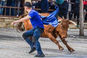 Cogolludo ha celebrado el decimoquinto aniversario de la peña taurina El Temple