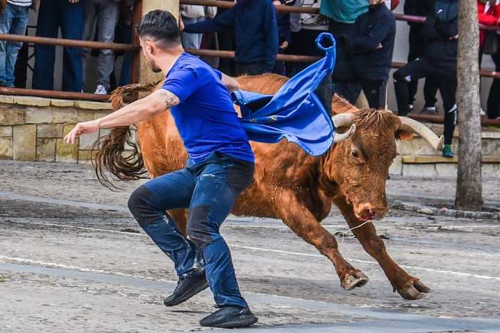 Cogolludo ha celebrado el decimoquinto aniversario de la peña taurina El Temple