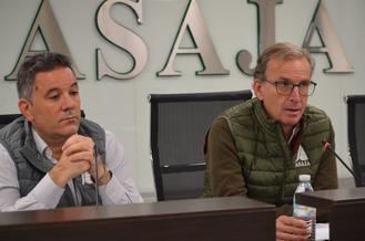 ASAJA MADRID Y APAG ASAJA GUADALAJARA piden medidas para erradicar la plaga de conejos