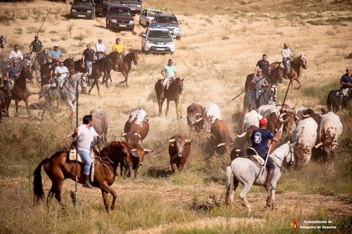 La Bajada 2025 reafirma su esencia con gran participación y emoción