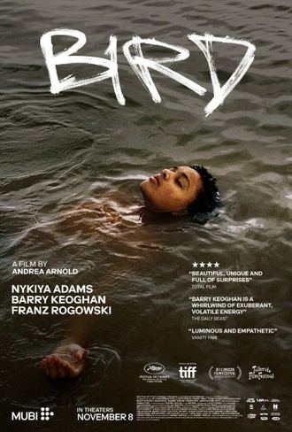 CINE CLUB ALCARREÑO : "Bird" de Andrea Arnold