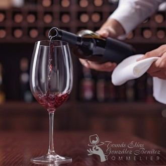 Tomás Elías González Benítez presenta un innovador enfoque para maridar vino y comida en 2026