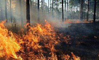 Falta de medios y carencias en Geacam dentro una campaña de incendios marcada por el aumento del riesgo