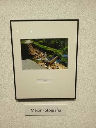 El fotógrafo y colaborador de Guadanews.es Eduardo Bonilla gana el accésit del XXVI Rally Fotográfico de la Asociación de la Prensa de Guadalajara