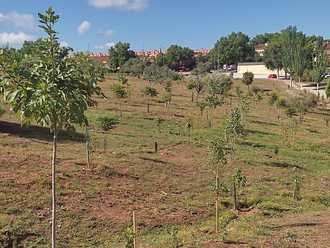 Nota informativa sobre el denominado Bosque Urbano de Aguas Vivas