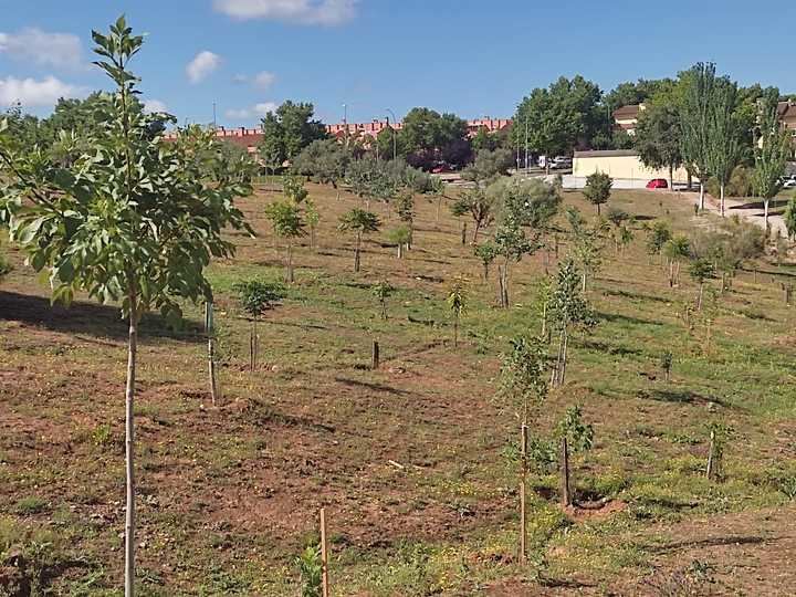 Nota informativa sobre el denominado Bosque Urbano de Aguas Vivas