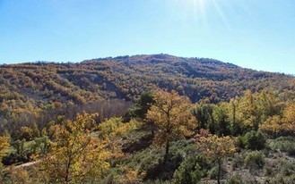 Descubren talleres de 5000 años para la elaboración de grandes cuchillos de sílex en Brihuega