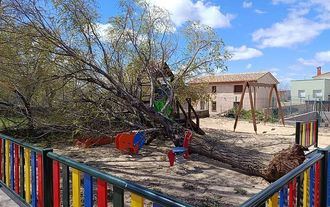 El viento derriba un olmo sobre un parque infantil en Castilforte sin causar heridos