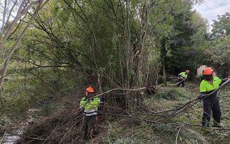 La CHT comienza los trabajos de conservación y mantenimiento de cauces en la provincia de Guadalajara