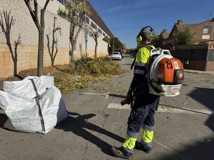 Inician la poda de árboles en Quer para el otoño-invierno