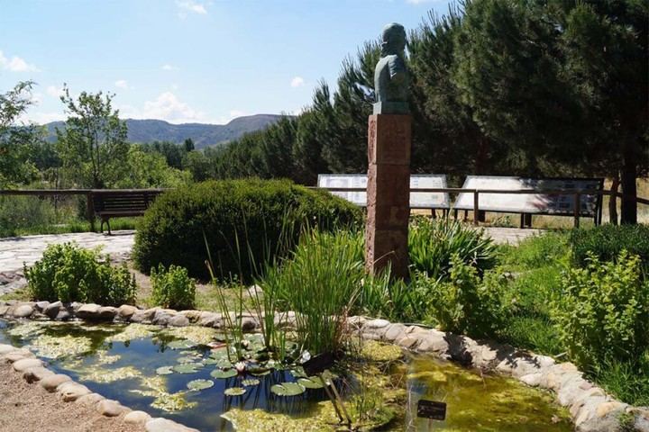 Curso práctico para aprender sobre la flora urbana en Alcalá de Henares