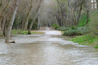 COMUNICADO DE PRENSA de Asaja Toledo, Asaja Madrid y APAG-Asaja Guadalajara