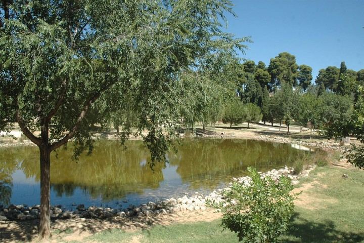 El Ayuntamiento inicia la limpieza de la laguna de La Quebradilla