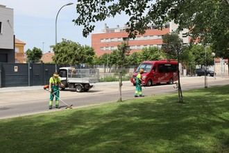 Azuqueca lanza programa para controlar la vegetación espontánea
