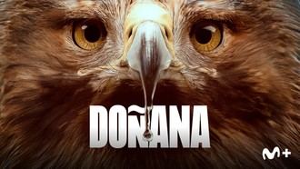 Estreno del documental 'Doñana' sobre la mayor reserva ecológica de Europa el 19 de octubre en Movistar Plus+