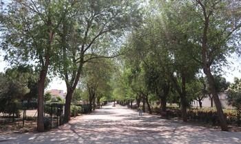Cabanillas licita la reforma del Parque Buero Vallejo con un presupuesto de 710.000 euros
