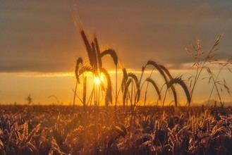 Convocan concurso de fotografía en Quer para el calendario 2026