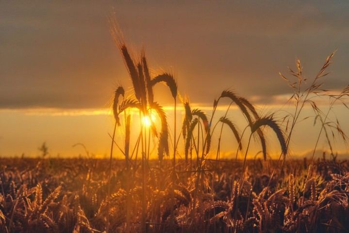 Convocan concurso de fotografía en Quer para el calendario 2026