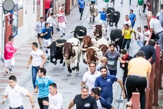 Guadalajara comienza la licitación para el ciclo taurino de 2026 y 2027