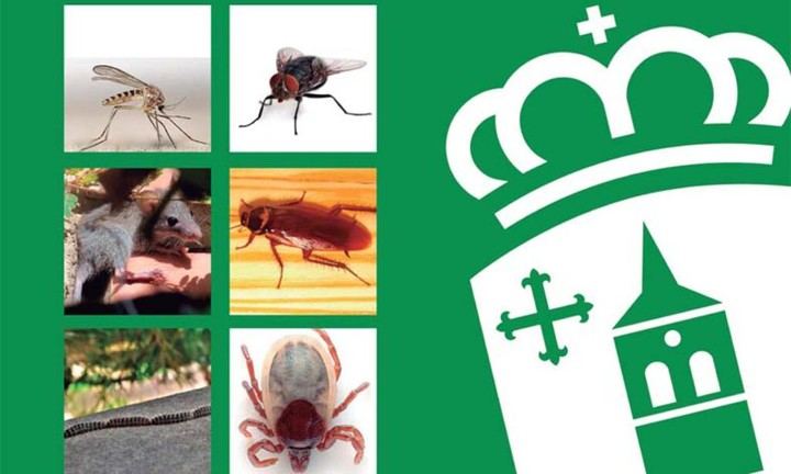 Cabanillas del Campo licita el servicio de control de plagas por casi 95.000 euros anuales