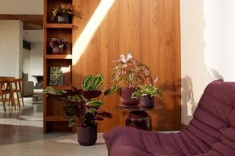 Elho presenta nuevas macetas sostenibles para el hogar