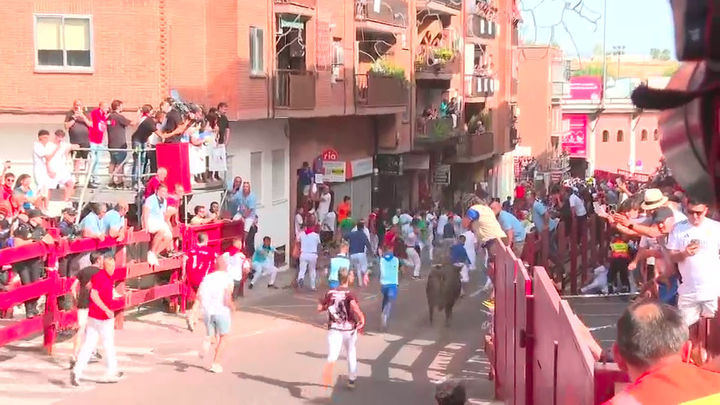 Siete heridos leves en el segundo encierro diurno de Sanse, el tercero de estas fiestas