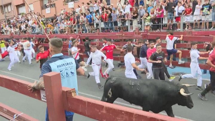 Siete asistencias, dos de ellas complicadas, en el primer encierro de Sanse