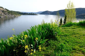 Las reservas de Entrepeñas y Buendía caen 12,11 hectómetros y acumulan 1.275,05, el 50,63% de su capacidad