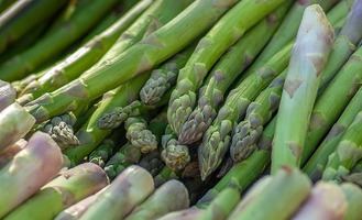 Aranzueque celebra sus XIV Jornadas Gastronómicas Espárrago Verde combinando música, gastronomía y ocio