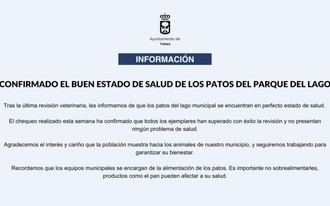 Patos del parque del lago en excelente estado de salud tras revisión veterinaria