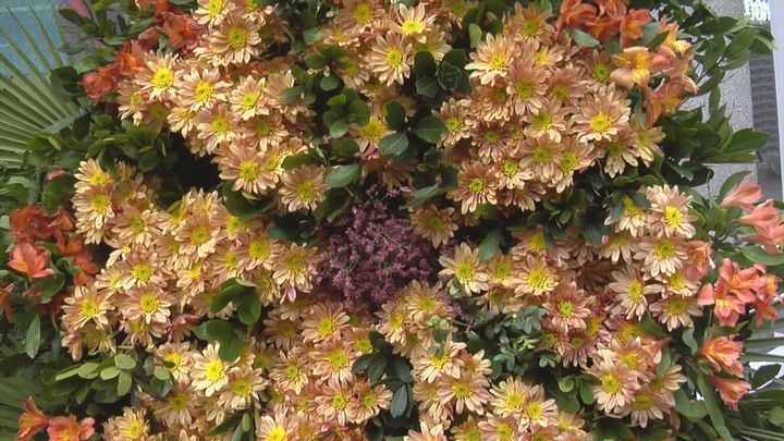 La Casa de México de Madrid da la bienvenida a la primavera con más de 20.000 flores