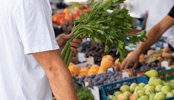 Alerta: La Comisión Europea facilita el uso indefinido de plaguicidas tóxicos