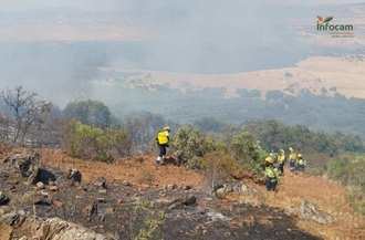 Bomberos forestales hallan una fosa con varios cadáveres al apagar un incendio en Toledo