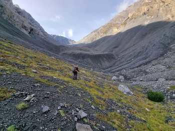 Descubren una biodiversidad desconocida bajo los glaciares rocosos alpinos amenazada por el calentamiento global