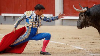 Un encastado toro de Escolar propicia un triunfo menor de Gómez del Pilar en Las Ventas