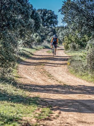 La experiencia Gravel Tour Alcarria 2025 une deporte, cultura y pueblos rurales, en un viaje a la historia