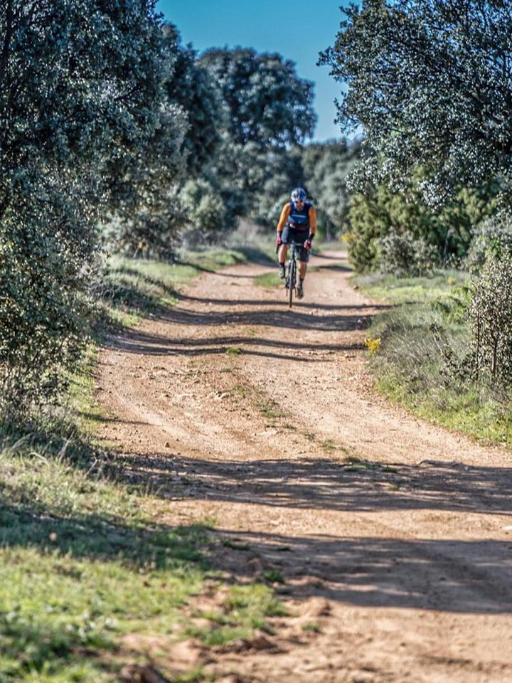 La experiencia Gravel Tour Alcarria 2025 une deporte, cultura y pueblos rurales, en un viaje a la historia